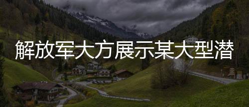 解放軍大方展示某大型潛艇，揭示中國(guó)海軍力量的嶄新面貌