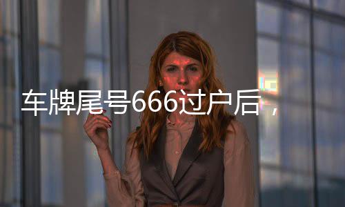 車(chē)牌尾號(hào)666過(guò)戶后，車(chē)主意外失聯(lián)