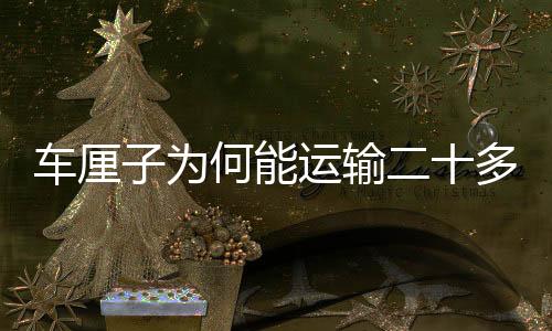 車?yán)遄訛楹文苓\(yùn)輸二十多天都不壞？揭秘其背后的秘密