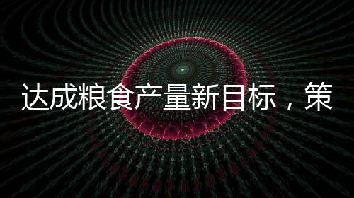 達(dá)成糧食產(chǎn)量新目標(biāo)，策略與實(shí)踐之路