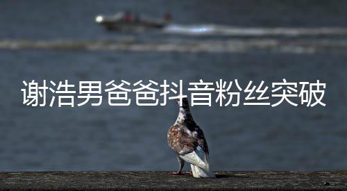 謝浩男爸爸抖音粉絲突破百萬大關，一段關于堅持與努力的勵志故事