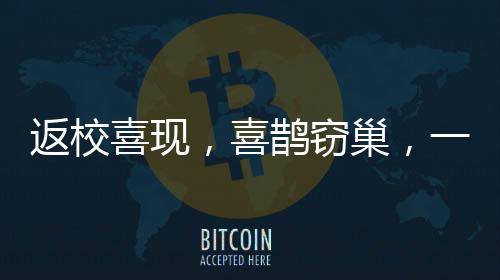 返校喜現(xiàn)，喜鵲竊巢，一堂人與自然和諧之課