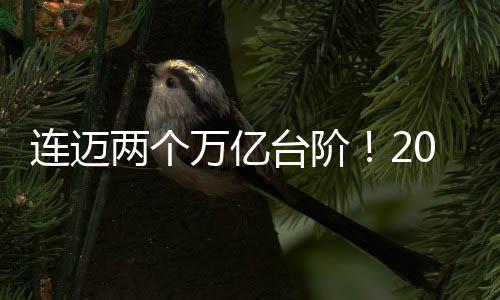 連邁兩個萬億臺階！2024年我國進(jìn)出口總值達(dá)43.85萬億元