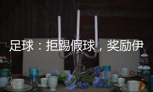 足球：拒踢假球，獎(jiǎng)勵(lì)伊布模版！