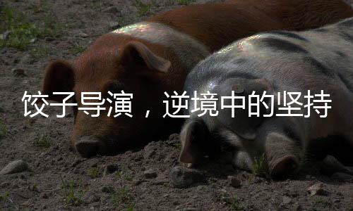 餃子導(dǎo)演，逆境中的堅持贏得機遇