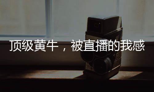 頂級(jí)黃牛，被直播的我感動(dòng)全網(wǎng)！