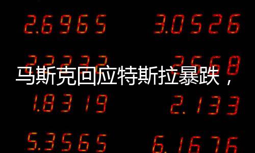 馬斯克回應(yīng)特斯拉暴跌，市場波動(dòng)背后的深度分析與展望