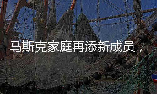 馬斯克家庭再添新成員，已有14個(gè)孩子的多元化大家庭揭秘