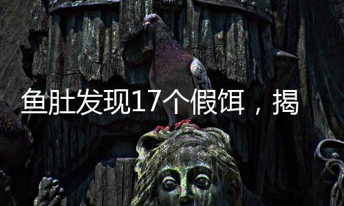 魚肚發(fā)現(xiàn)17個(gè)假餌，揭秘假餌事件，呼吁誠信釣魚