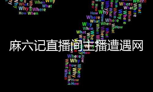 麻六記直播間主播遭遇網友勸換工作的熱議