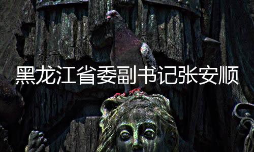 黑龍江省委副書記張安順履新職，開啟新篇章