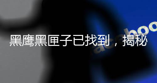 黑鷹黑匣子已找到，揭秘事件背后的故事