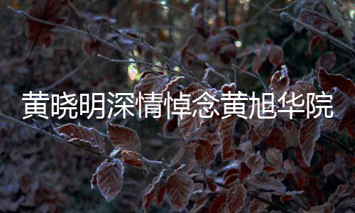 黃曉明深情悼念黃旭華院士，科技巨星隕落，致敬永恒之光