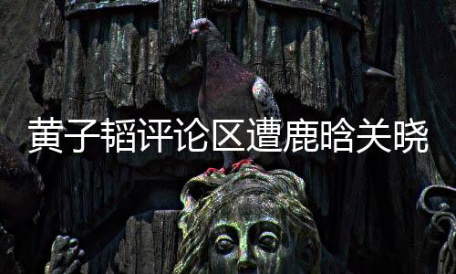 黃子韜評論區(qū)遭鹿晗關(guān)曉彤粉絲刷屏，引發(fā)網(wǎng)友熱議