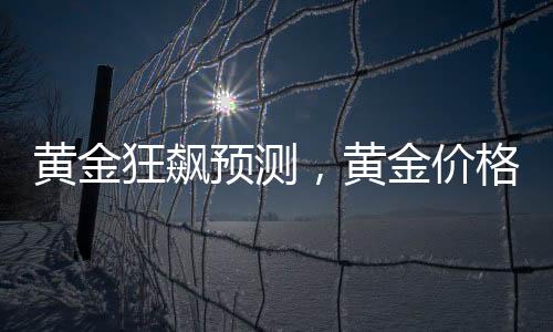 黃金狂飆預(yù)測(cè)，黃金價(jià)格有望突破至5000美元——深度分析與展望