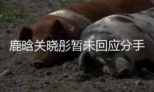 鹿晗關(guān)曉彤暫未回應(yīng)分手傳聞，戀情穩(wěn)定，傳聞只是謠言？