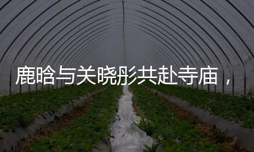 鹿晗與關(guān)曉彤共赴寺廟，探尋心靈凈土