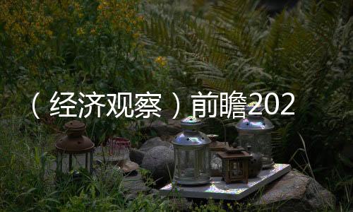 （經(jīng)濟(jì)觀察）前瞻2025：中國(guó)房地產(chǎn)市場(chǎng)或現(xiàn)四大變化