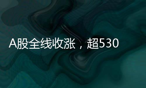 A股全線收漲，超5300股飄紅——股市全面回暖紀(jì)實