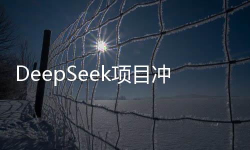 DeepSeek項(xiàng)目沖擊結(jié)束，未來展望引人矚目