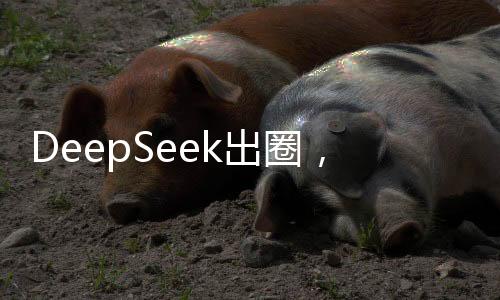 DeepSeek出圈，概念股嶄露頭角，投資者爭(zhēng)相追捧