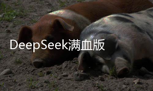 DeepSeek滿血版，引領科技新潮流的超級智能搜索引擎