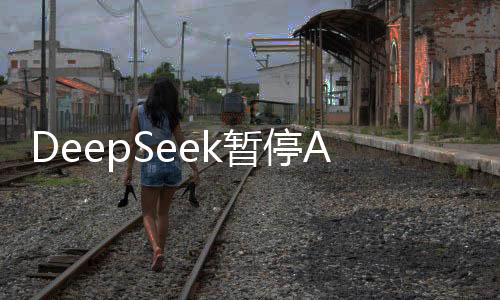 DeepSeek暫停API服務(wù)充值，深度解析事件始末與未來發(fā)展展望