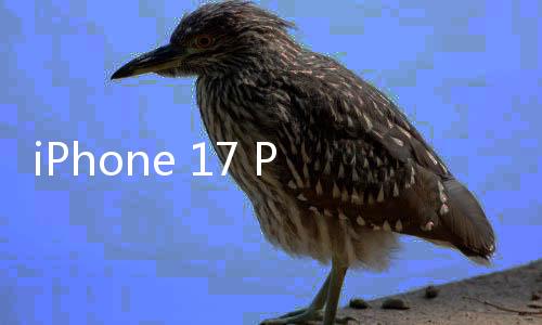 iPhone 17 Pro系列有望回歸鋁合金材質